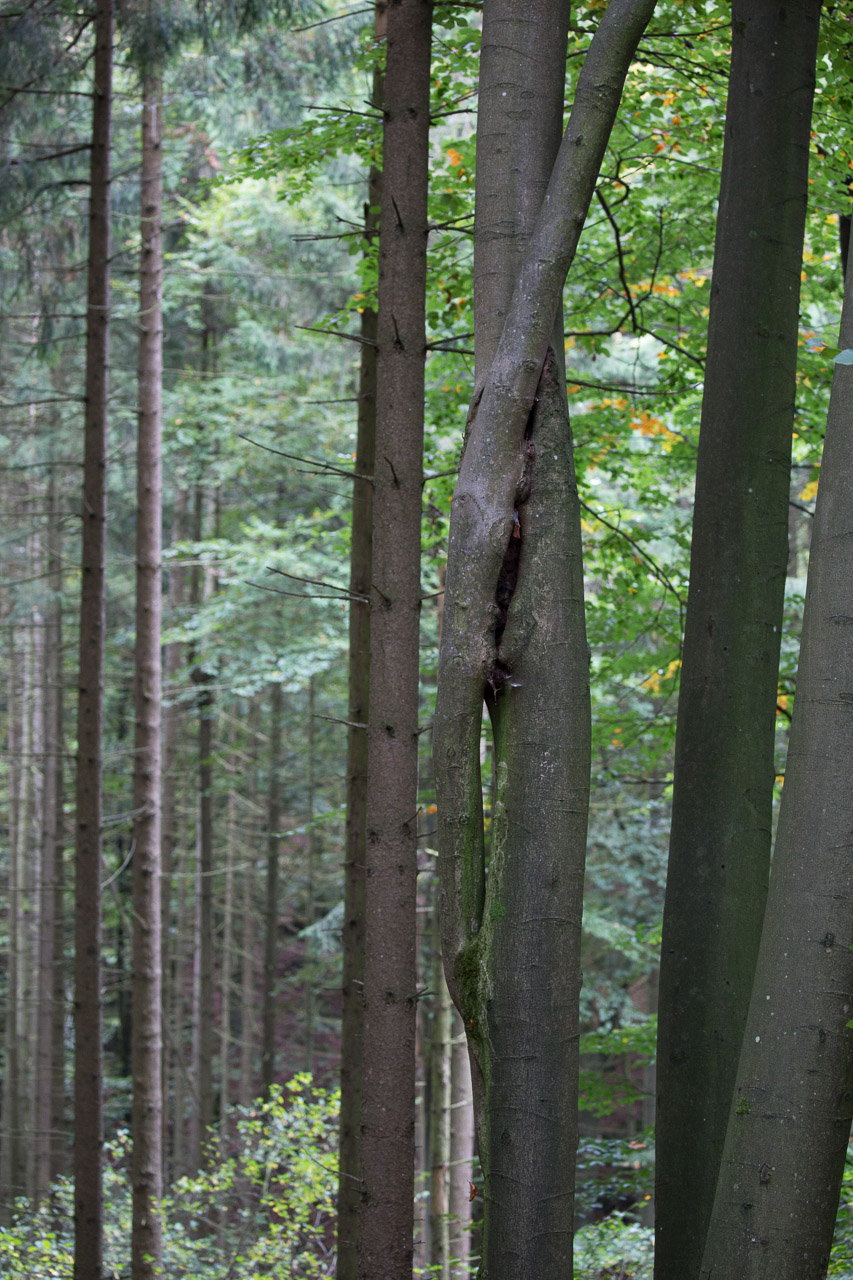 20231014100727 3K6A2247